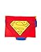 Briefly Stated Superman Caped Brief Underwear for Men
