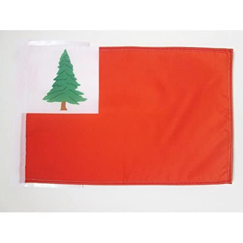 AZ FLAG - New England Flag - 18'' x 12'' - 100% Polyester Continental Small Banner with Two Cords - Fade Resistant - Vivid Colors - 18x12 in - 45x30 Cm — image 1