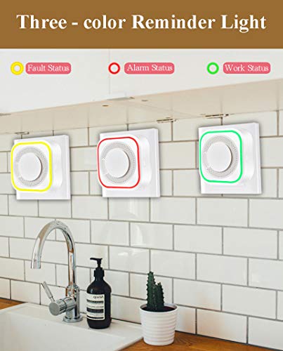 Natural Digital Gas Detector, Gas Leak Detection, Home Gas Alarm, Plug-in Digital Alarmer, High Sensitivity LPG LNG Coal Natural Gas Leak Detection, Alarm Monitor Sensor for Home Kitchen