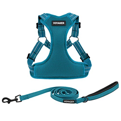 Best Pet Supplies Voyager Adjustable Dog Harness Leash Set with Reflective Stripes for Walking Heavy-Duty Full Body No Pull Vest with Leash D-Ring, Breathable All-Weather Wear - Turquoise, M
