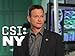 CSI: NY, Season 7