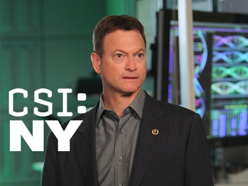 CSI: NY, Season 7