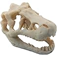 MTGHYARE Resin Dinosaur Skull Aquarium Ornament Mini Dinosaur Tank Decoration Betta Fish Small Dinosaur Skull Fish Reptile Tank with Holes Aquarium Landscape Reptile Hideout Caves