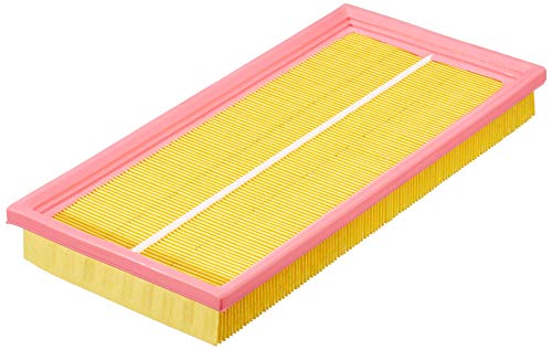 Fleetguard AF4919 Luftfilter-Panel