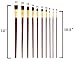 10 Professional Paint Brushes Set Long Handle Synthetic For Oil Acrylic With Roll Up Canvas Holder