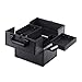 Makeup Train Case Adjustable 4 Trays Professional Cosmetic Cases Portable Makeup Storage Organizer Box with Lock and Compartments, Carrying with Handle 10 Inch Black