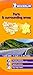 Michelin Map France: Paris and Surrounding Areas MH514 1:200K (Maps/Regional (Michelin)) (English and French Edition)