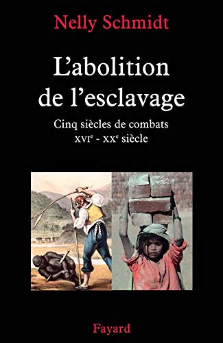 L Abolition De L Esclavage Cinq Siecles De Combats Xvie Xxe Siecle Divers Histoire 14 French Edition Schmidt Nelly Amazon Com Books