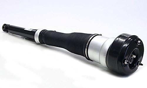 Air shocks rear left A2213201438