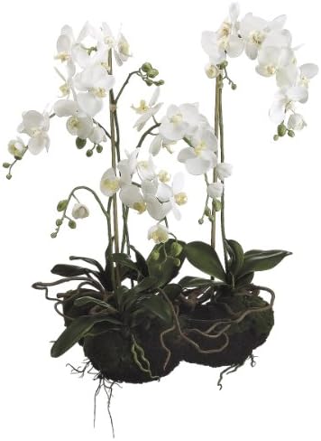 Silk Décor Phalaenopsis with Soil and Moss, 33-Inch, White