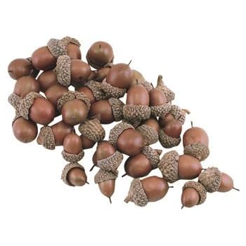 Bag Of Acorns Natural Look Resin Country Primitive Fall Décor