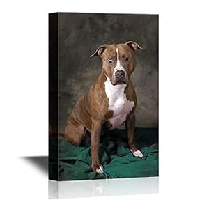 Dogs Breeds Canvas Wall Art - A Pit Bull on a Rug - Gallery Wrap Modern Home Art | Ready to Hang - 12x18 inches