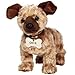 TY Beanie Baby - ODIE the Dog ( Garfield Movie Beanie ) [Toy]