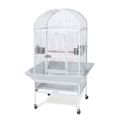 Prevue Pet Medium Dometop Bird Cage | Cagesbird