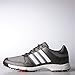 adidas Men's Tech Response Wd Ironmt/F Golf Shoe