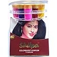 Shilpa Kumkum Color Burst Multi-Colored 11 Shades Liquid Bindi (Liquid Multi-colored Kumkum)