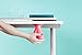 niceBalls Desk Dangling Stress Relief Accessory to Encourage Relaxation and Escapism