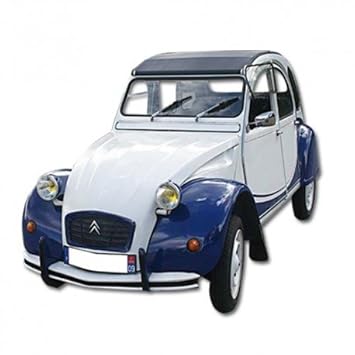 2cv charleston bleu blanc