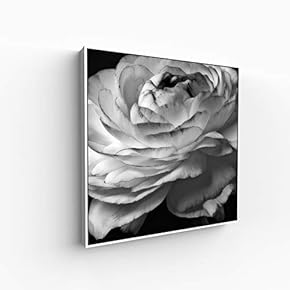 Canvas Wall Art for Living Room, Bedroom Monochrome Image Framed Canvas Prints for Home Decoration Ready to Hang - 16x16 inches