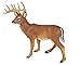 Safari Ltd. Whitetail Buck Figurine - Detailed 4.95