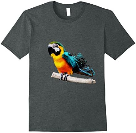 Mens Macaw Parrot On Perch Graphic Design Tee XL Dark Heather