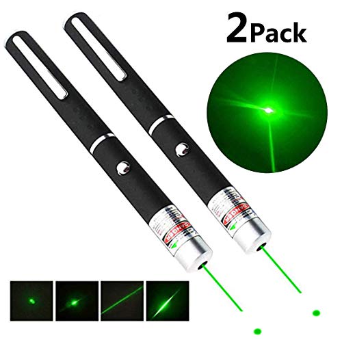 Can Dogs See Green Lasers