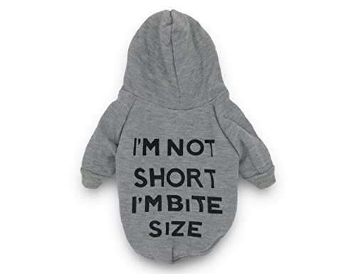 DroolingDog Dog Sweatshirt Cat Hoodie Basic Clothes for Small Dogs