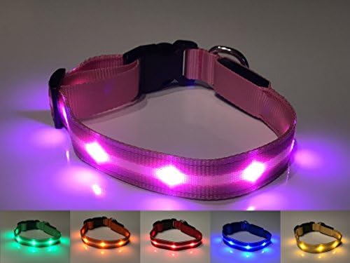 Safety LED Dog Collar - USB Rechargeable with Water Resistant Flashing Bright Lights - Color Trim with White Strip and Color LED (Medium, Pink)