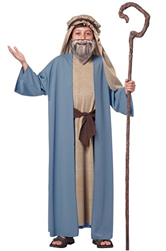 California Costumes Herdsman/Noah Boy Costume