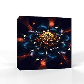 Flowery Flowers Pictures Home Wall for Bedroom Living...