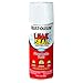 Rust-Oleum 267970 LeakSeal Flexible Rubber Coating Spray, 12 oz, White primary