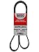 ban.do USA 6DPK1841 OEM Quality Serpentine Belt