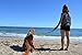 Black Rhino – Dog Leash Adjustable Length (3-5 Feet) with Soft Neoprene Padded Handle | Heavy Duty Lead for Easy Control | Small Medium Large Breeds | Reflective Stitching (Aqua/Grey)