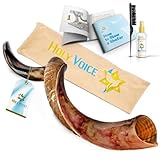 Holy Voice Kosher Kudu Shofar Horn from Israel