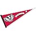 College Flags & Banners Co. Wisconsin Badgers Pennant Full Size Felt