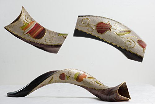 New 24"-28" Shofarot Israel Painted Yemenite Kudu Horn Shofar with Pomegranates Multi Color
