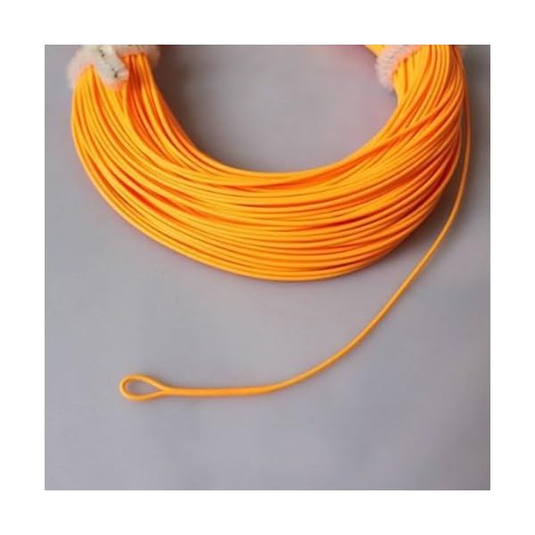 TOOGOOR-1-x-Fly-Fishing-100ft-floating-FLY-LINES-for-rod-reel-welded-loops TOOGOOR-1-x-Fly-Fishing-100ft-floating-FLY-LINES-for-rod-reel-welded-loops
