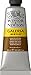 Winsor & Newton Galeria Acrylic Color, 60ml (2-oz) Tube, Vandyke Brown