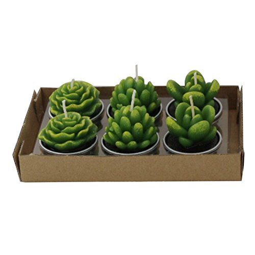 Cactus Tealight Candles, niceEshop(TM) 6pcs Creative Birthday Scented Candles Handmade Delicate Succulents Candles for Birthday/Party/Spa/Wedding/Home Decoration/Confession