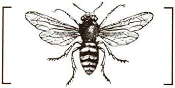 Bee Temporary Tattoo