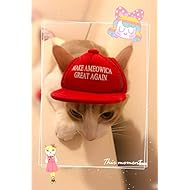 Dog Hats | Amazon.com