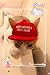 Unekorn Ultra Comfort Adjustable Make Ameowica Great Again MAGA Trump Slogan Cat Hat Pet Costume for Halloween Parties and Instagram Pictures Make America Great Again Cat Hat