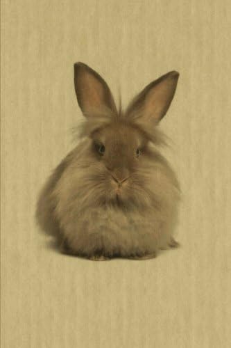Lionhead: Artified Pets Bunny Rabbit Journal/Notebook/Diary (Artified Pets Lionhead Bunny Rabbit)