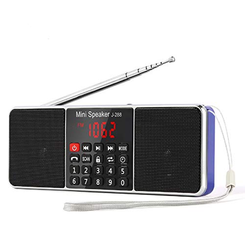 PRUNUS J288 Portable Radio AM FM Battery Operated Radio with Bluetooth