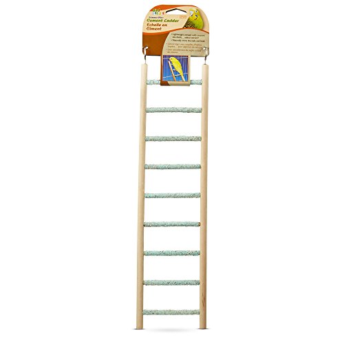 Penn-Plax Bird-Life Trimmer Plus Cement & Wood 9 Step Ladder – Cement Made from…