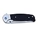 Ganzo G7522 Folding Hunting Pocket EDC Handle Knife (Black)