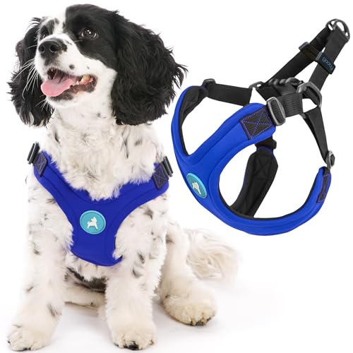 Gooby Escape Free Sport Harness - Blue, Large - No Choke Step-in Patented Neoprene Small Dog Harness with Four-Point Adjustment - Perfect on The Go Dog Harness for Medium Dogs No Pull and Small Dogs