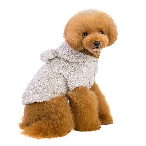 Pet Cat Puppy Warm Winter Cotton Clothes Fashion Cartoon Bear Two-Legged Clothes Pet Shirt Dog Sweater Small Pet Sweatshirt Pig Coat Dog Winter Outfits Doggy Costume Cat Apparel Jacket (Gray, S)