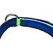Blueberry Pet 4 Colors Soft & Comfy Summer Hope 3M Reflective Padded Dog Collar with O-Ring, Fluorescent Green, Small, Neck 12