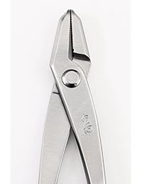 JIN Tian de alicates herramientas de bonsai Master acero inoxidable de calidad 205 mm. (8")
